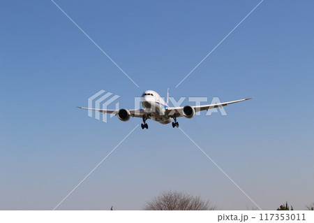 千里川土手　大阪国際空港　着陸する飛行機 117353011