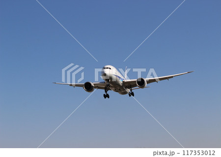 千里川土手 大阪国際空港 着陸する飛行機 千里川土手 大阪国際空港 着陸する飛行機 117353012