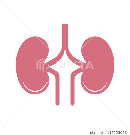 kidney symbol icon 117353028