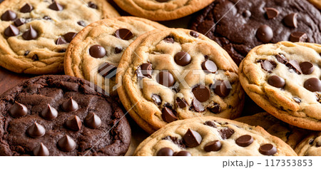 Closeup Assorted Chocolate Chip Cookies, Fresh Baked Sweet Treats Variety, Homemade Dessert Texture Detail, Dark Light Dough Confectionery, Delicious Snack Food Temptation 117353853