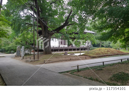 九品仏くほんぶつ　九品山唯在念佛院浄真寺　浄土宗　9体の阿弥陀如来像　梵鐘　東京都世田谷区奥沢   117354101