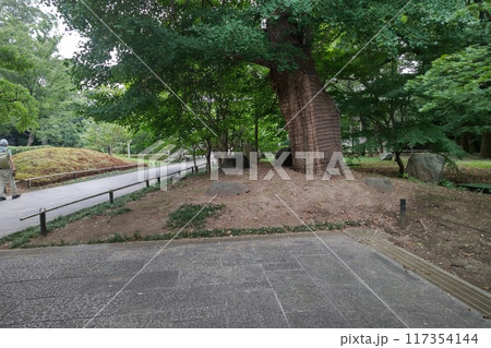 九品仏くほんぶつ 九品山唯在念佛院浄真寺 浄土宗 9体の阿弥陀如来像 梵鐘 東京都世田谷区奥沢 九品仏くほんぶつ 九品山唯在念佛院浄真寺 浄土宗 9体の阿弥陀如来像 梵鐘 東京都世田谷区奥沢 117354144