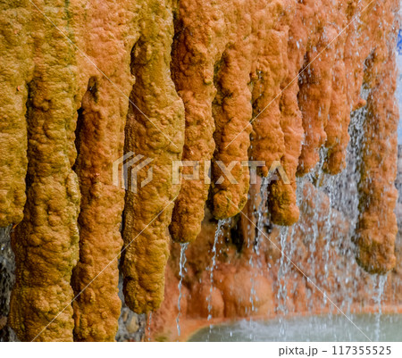Pam Thermal Hotel Hot spring mineral medicinal water 117355525