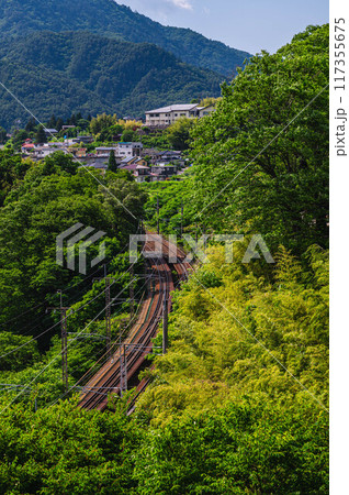 国道19号線から見る風景　 117355675