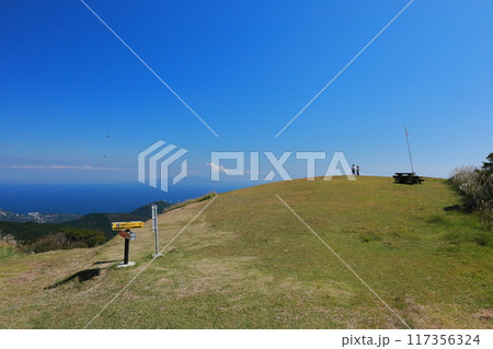 東伊豆町　細野高原の絶景ポイント　3 117356324