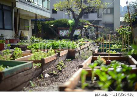 Lush community garden with various plants, tended by local residents in an urban setting 117356410
