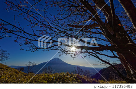 初冬の雨ヶ岳から見る朝の富士山と朝日 初冬の雨ヶ岳から見る朝の富士山と朝日 117356498