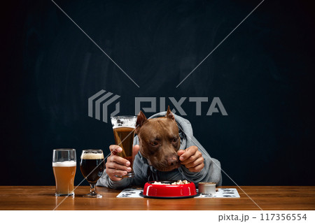 Brown pit bull with human body element wearing gray hoodie, sitting at wooden desk with glasses of various beer and bowl of food. Drinks and food 117356554
