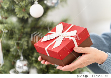 クリスマスプレゼントを持っているシニア女性 クリスマスプレゼントを持っているシニア女性 117356946