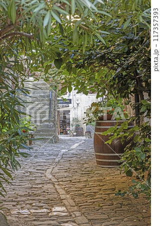 the stone alley leading up to the stairs has barrels with plants the stone alley leading up to the stairs has barrels with plants 117357393