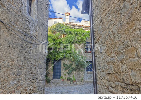 a doorway that leads to a room with a view to a street in the medieval 117357416