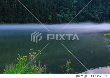 霧幻峡の渡し「早戸温泉つるの湯」 霧幻峡の渡し「早戸温泉つるの湯」 117357953