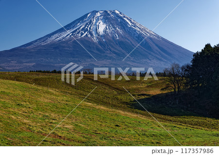 冬の朝霧高原の牧草地から見る富士山 117357986