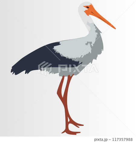 Common white crane with a long orange beak and black wings. Vector illustration A large bird with long legs and a huge beak. 117357988