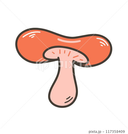 Mushroom saffron isolated on white background 117358409