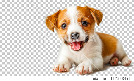 (透過PNG) 無邪気な子犬の目、ソフトフォーカス、暖かく居心地の良い雰囲気 117358451