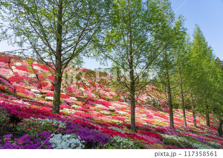 松本ツツジ園 117358561