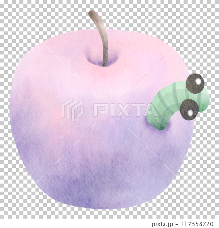 Watercolor purple apple 117358720