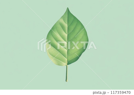Elegant and simple illustration of a green leaf, ideal for eco-themed design and concepts 117359470