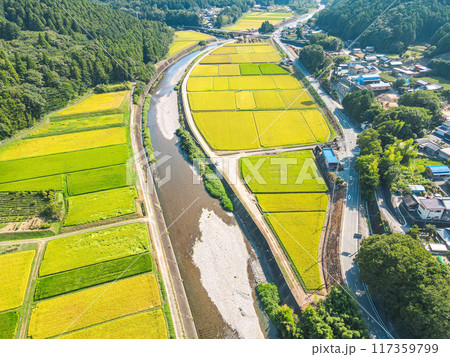 黄金色に輝く農村での空撮 黄金色に輝く農村での空撮 117359799