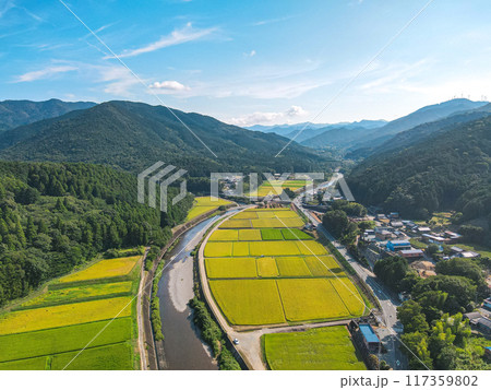 黄金色に輝く農村での空撮 117359802
