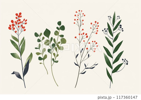 Series of elegant, minimalist botanical illustrations depicting various stylized plants 117360147
