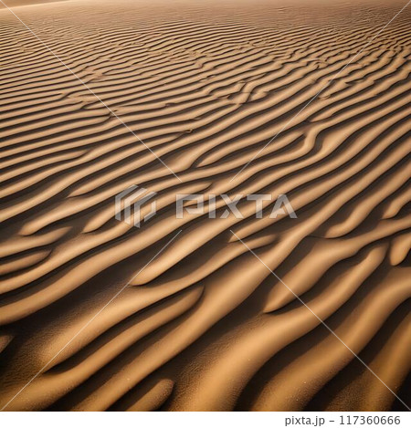 Desert Sands: Patterns and Textures of Dunesのイラスト素材 [117360666] - PIXTA