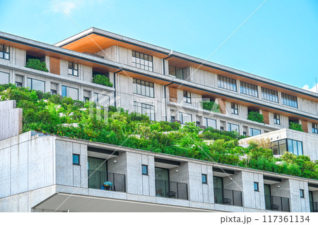 夏のVISON 夏のVISON 117361134