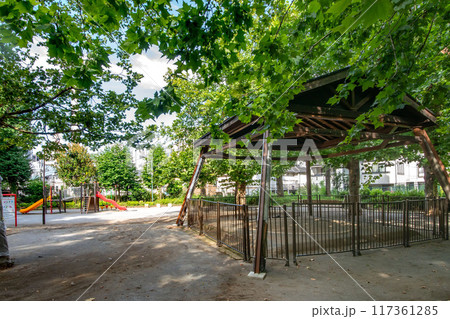 東京都渋谷区氷川の森公園と土俵 117361285