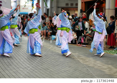 高知のよさこい 117361448