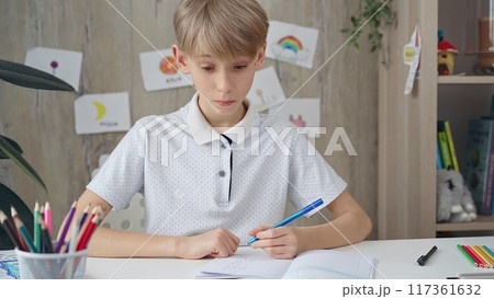 Young boy studying at the desk at home or school class room Young boy studying at the desk at home or school class room 117361632