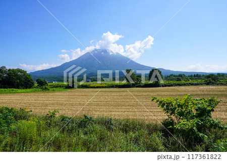 八幡駐車場から見る羊蹄山（2024年8月） 117361822