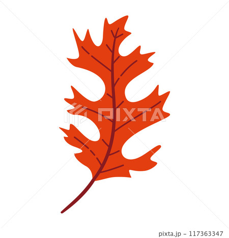 Autumn Oak Leaf. Hand drawn trendy flat style isolated  117363347