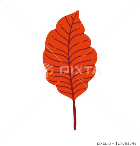 Autumn Leaf. Hand drawn trendy flat style isolated  117363348