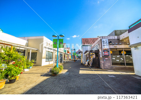 日本の千葉都市景観　千葉県千葉市緑区の土気駅前のショッピングモーなどを望む 117363421