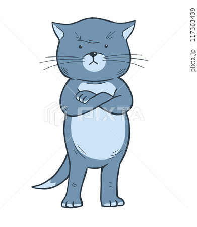 Gloomy domestic cat on white background 117363439