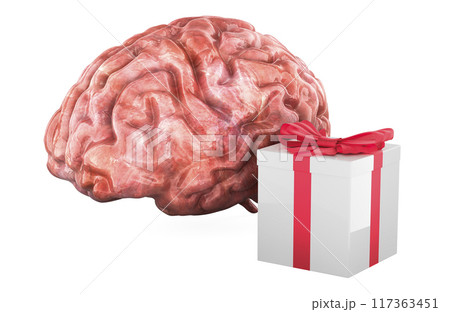Human Brain with gift box. 3D rendering 117363451