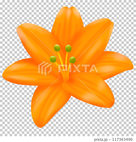 yellow flower with yellow pollen yellow flower with yellow pollen 117363490