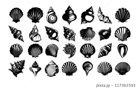 Sea shell black ink vector set. Conch scallop spiral ocean underwater marine beach nature coastal decorative icons isolated on white background Sea shell black ink vector set. Conch scallop spiral ocean underwater marine beach nature coastal decorative icons isolated on white background 117363593