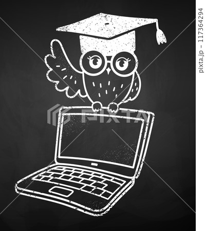 Cute owl character sitting on laptop Cute owl character sitting on laptop 117364294