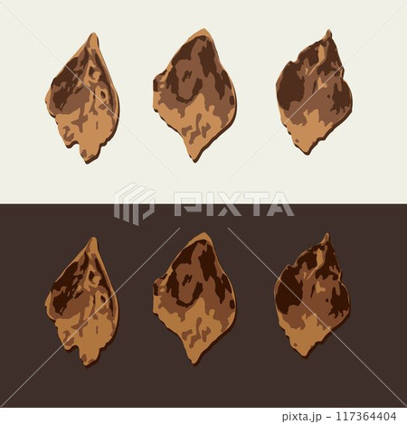 Scales, flakes of pine cone, spruce cone on black, white background. Image trace, cleaned and simplified illustration. Realistic style. Not AI. 117364404