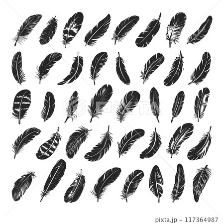 Beautiful Feathers Linocut Print Style Icons Set Black on White Background Ornate Plumage Bird Feathers Decorative Art Nature Design Elements Tribal Patterns 117364987