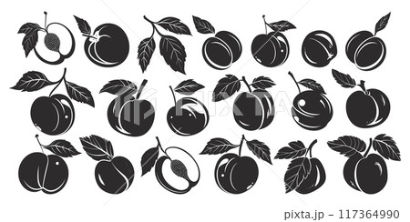 Apricots and Leaves Icons Set Neat Thick Strokes Shapes Black on White Background Fruit Botanical Illustration Summer Produce Organic Food Nature Garden Design Elements 117364990