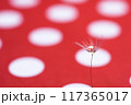 赤と白の水玉とタンポポに水滴 117365017