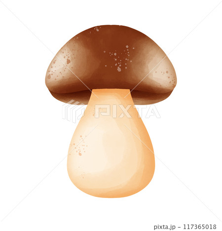mushrooms isolated on white background 117365018