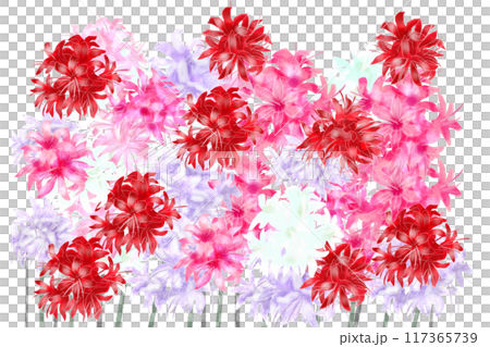 尼琳花卡 1 117365739