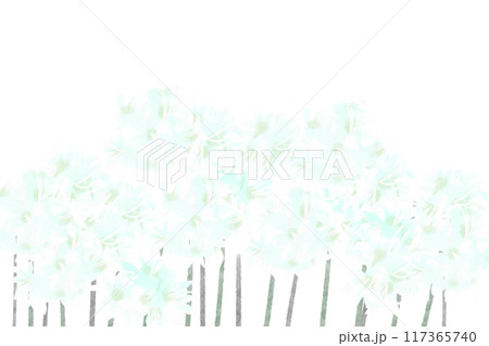 ネリネの花のカード2 ネリネの花のカード2 117365740