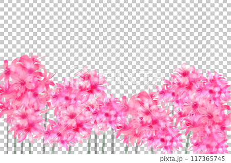 ネリネの花のカード6 ネリネの花のカード6 117365745