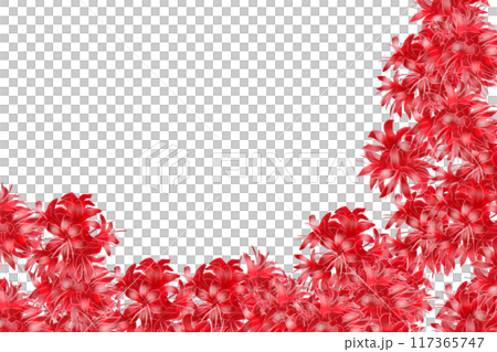 尼琳花卡 8 117365747