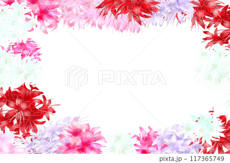 ネリネの花のカード10 117365749